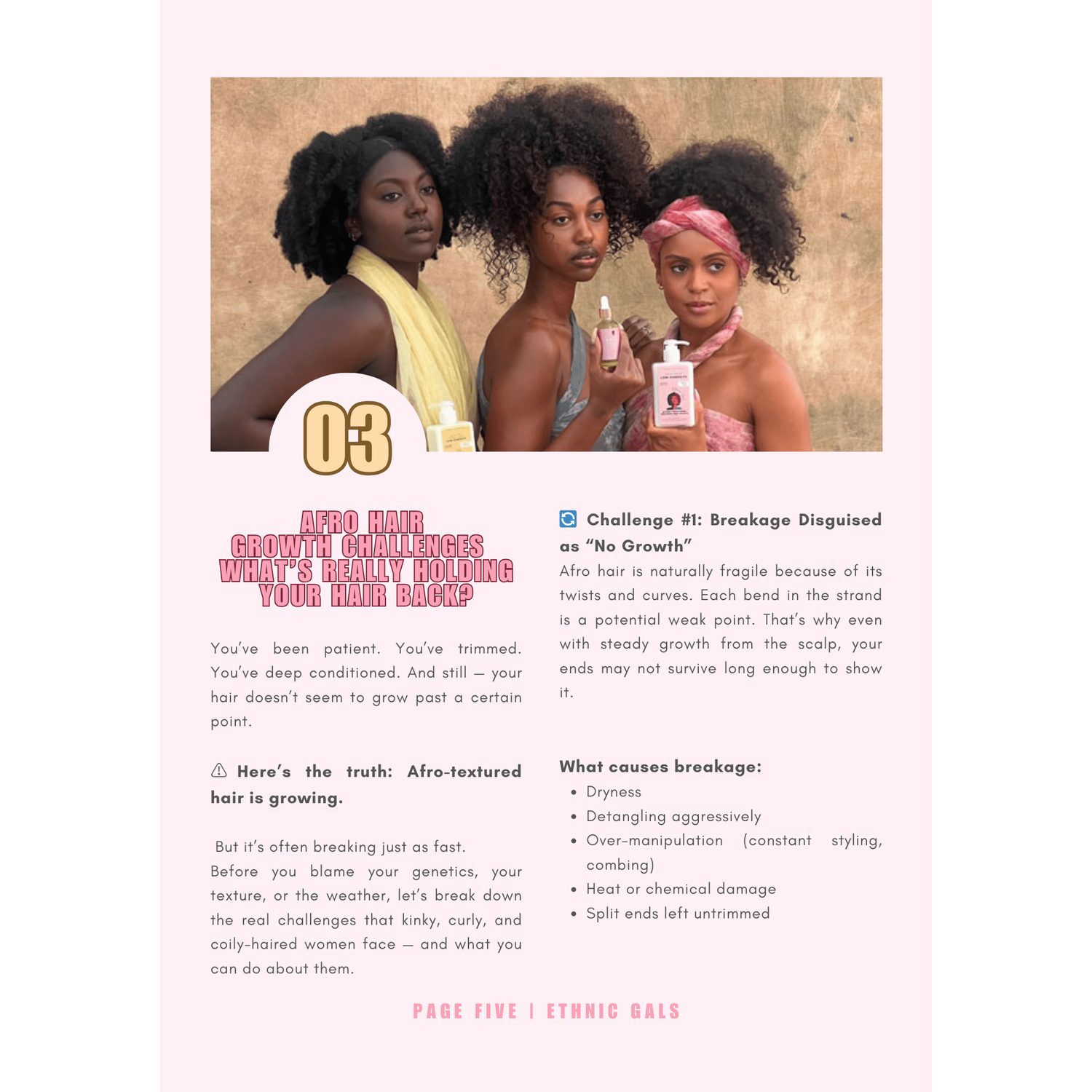 Misty Rose Curls Reborn - Hair Growth Guide Ebook Ethnic Gals