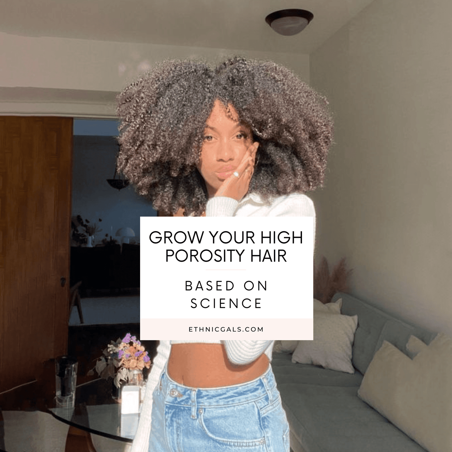 Dim Gray High Porosity Deep Growth Ebook Ethnic Gals