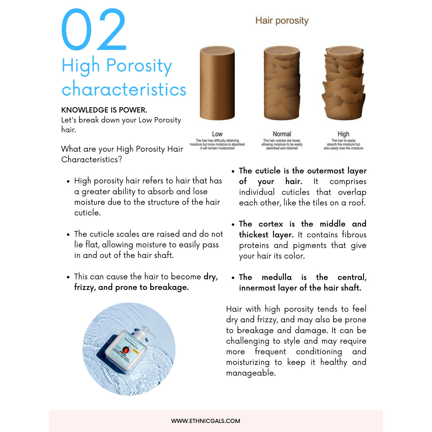 Dark Slate Gray High Porosity Deep Growth Ebook Ethnic Gals